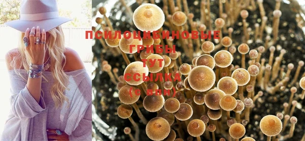 гашишное масло Алексин